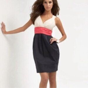 Vintage BCBGMAXAZRIA Cream Pink & Navy A-Line Empire Waist Color Block Dress